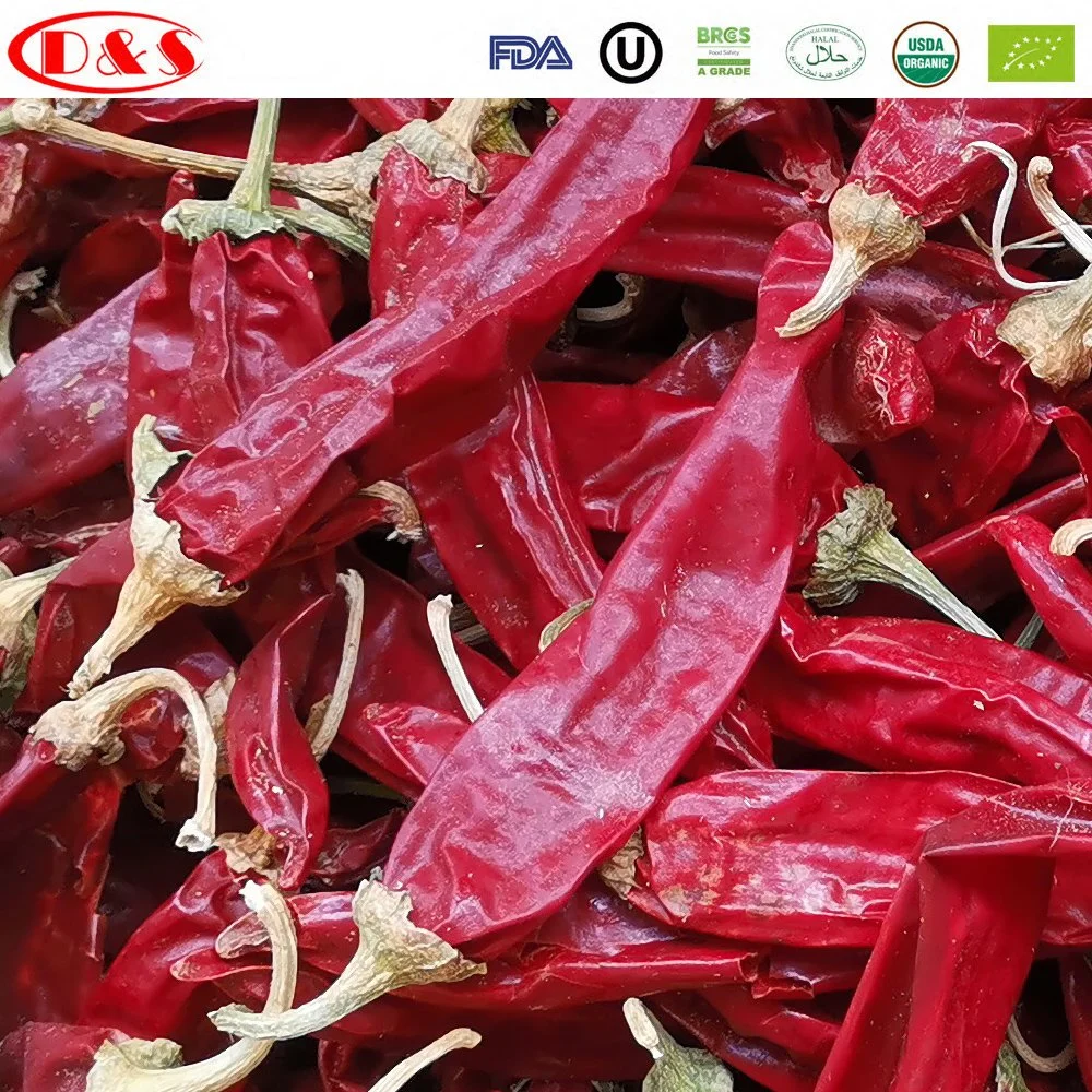 Fine Quality Dried Red Chili From China