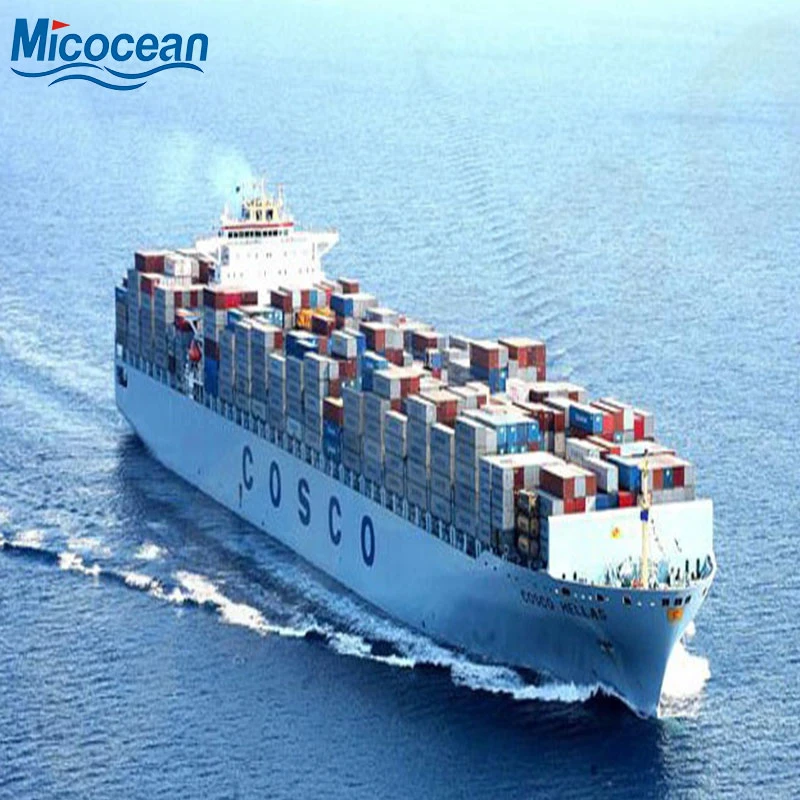 Professional Consolidation Sea Freight Transportation From China to Argentina