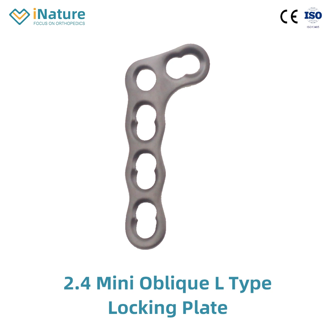 Orthopedic Implants Mini Locking Plate 2.4 Mini Y Type Locking Plate