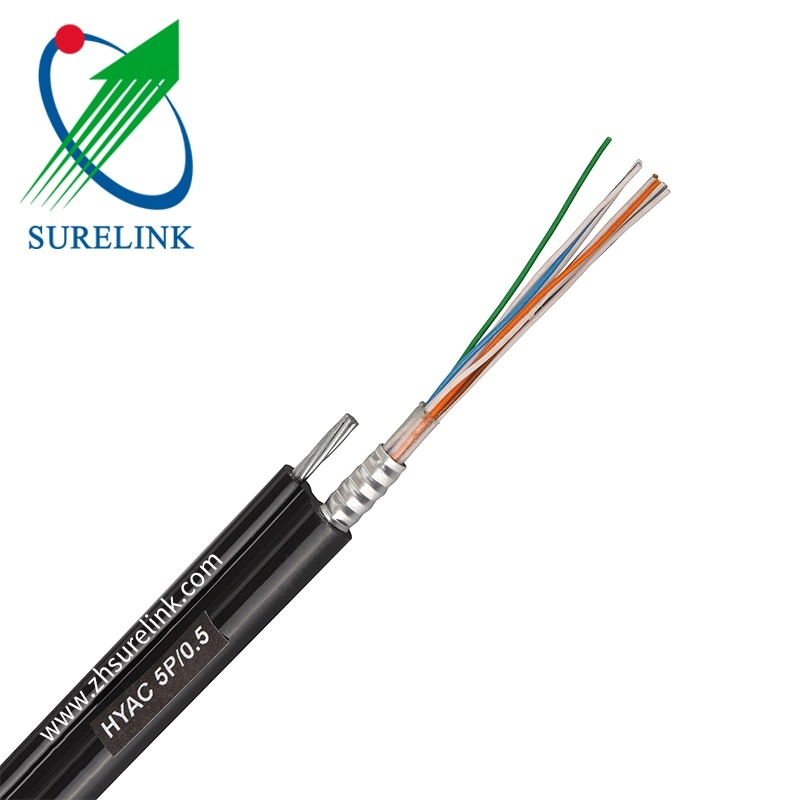 Outdoor Directly Buried Hyat Duct Aerial Fiber Optic Telephone Communication Telecom Cable