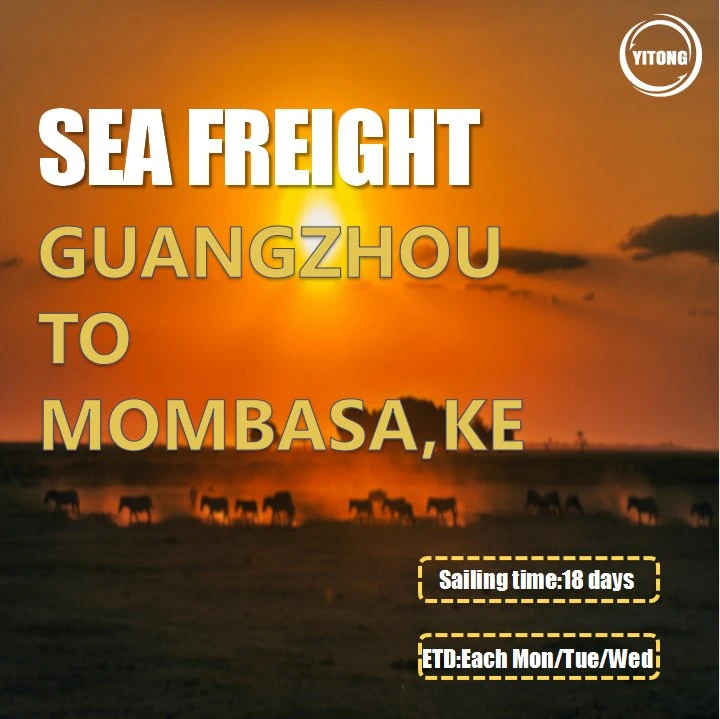 FCL Sea Shipping Agent From Qingdao to Mombasa Kenya