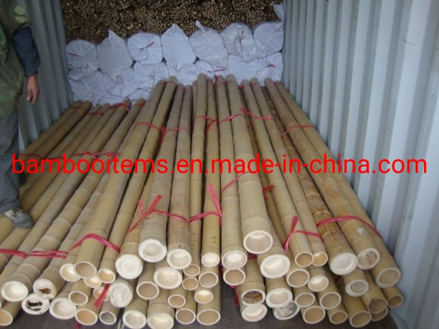 Large Bamboo Pole/Moso Bamboo Cane for Decoration and Construction