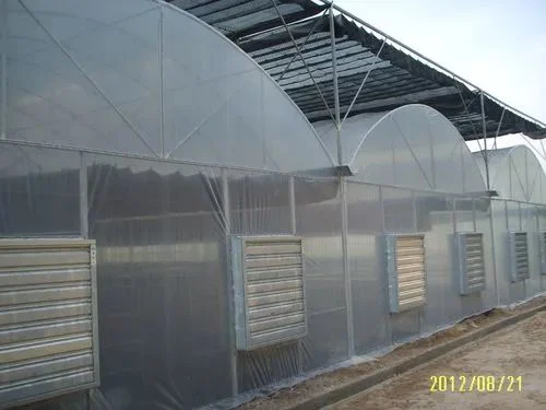 Poly-Tunnel Green House mit Sägezahn-Lüftungsöffnung für Tomate/Gurke Erdbeere Hydroponics Growing System