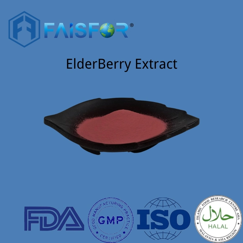 Manufacturer Supply High quality/High cost performance Vitamin Elderberry Extract Powder for Weight Loss