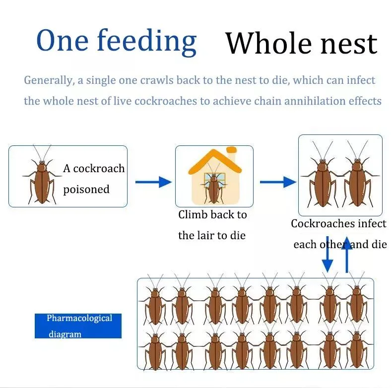 Pest Control Roach Killer Cockroach Killing Bait Cockroach Insecticide