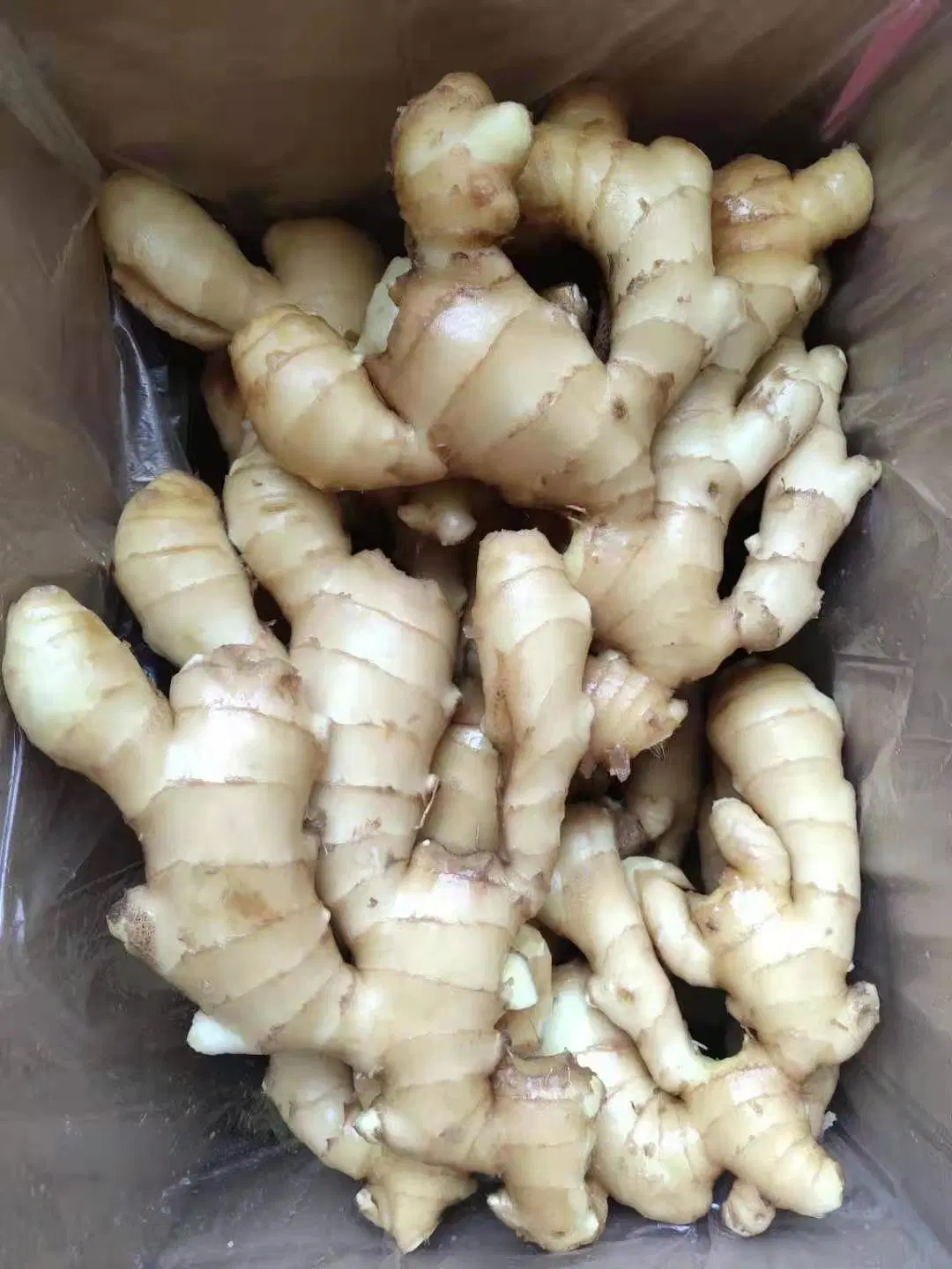 New Crop Factory Supplier Super Quality Air Dry Ginger of 2023 New Crop