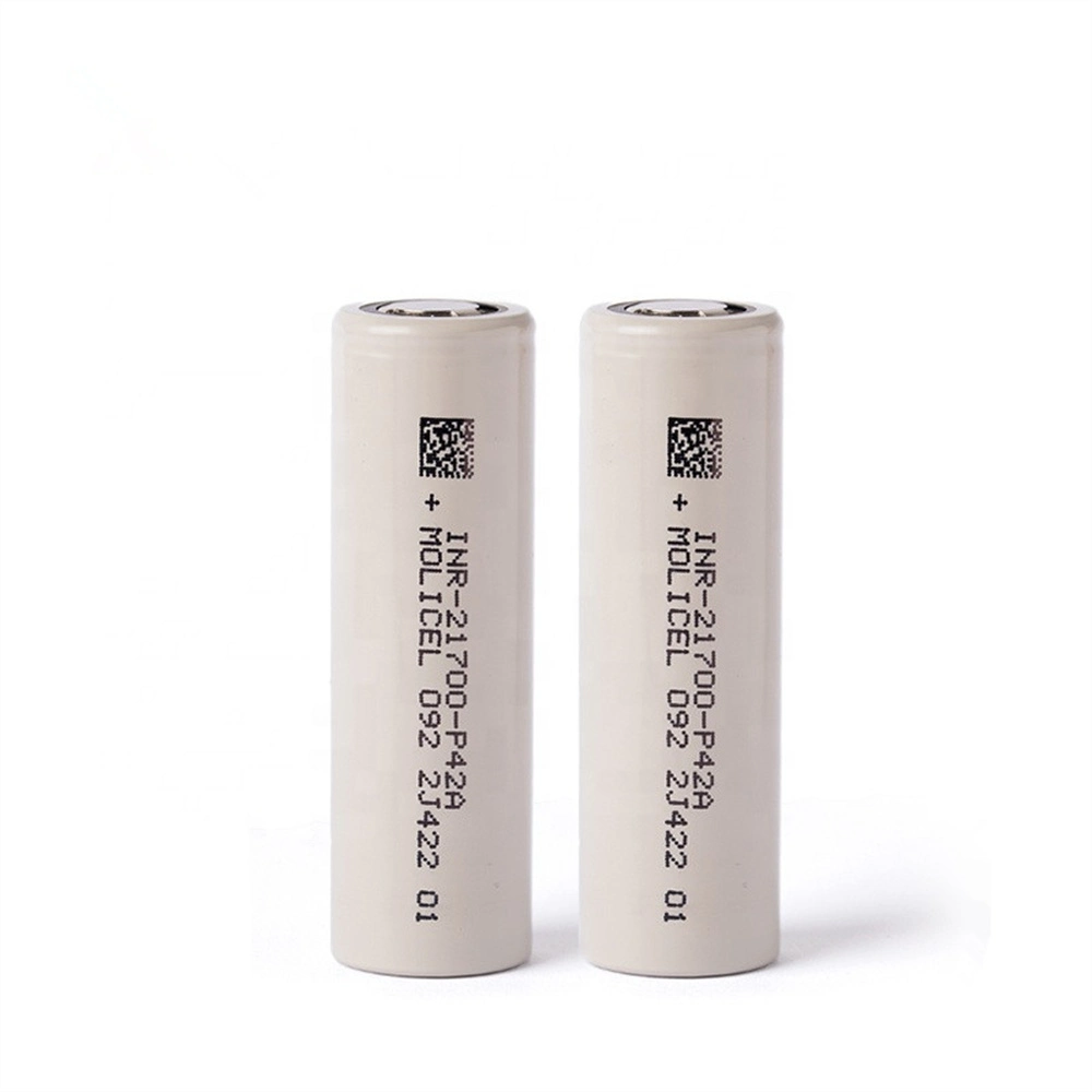 Lithium-Ionen-Akku P42A 4200mAh 45A für 18650 21700 E-Bike-Akku