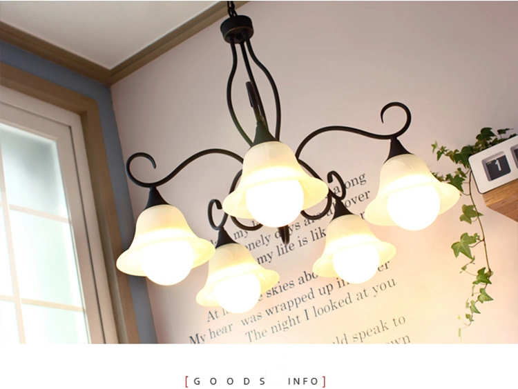 Wholesale/Supplier Interior Hanging Lamp Metal Light with Glass Shade