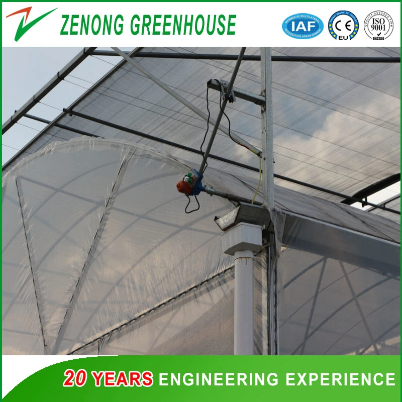 Multi-Span Agriculture Po Film Greenhouse with Side Ventilation for Anti-Season Vegetable/Flower/Fruit