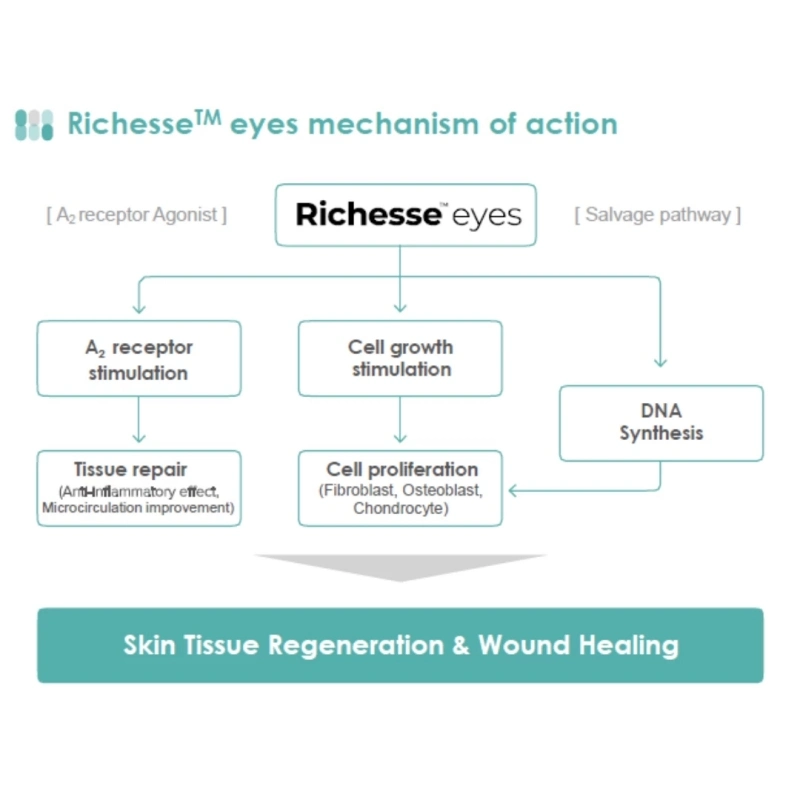 Richesse Eyes Pdrn Skin Booster Fill Fine Lines and Wrinkles Around Eyes