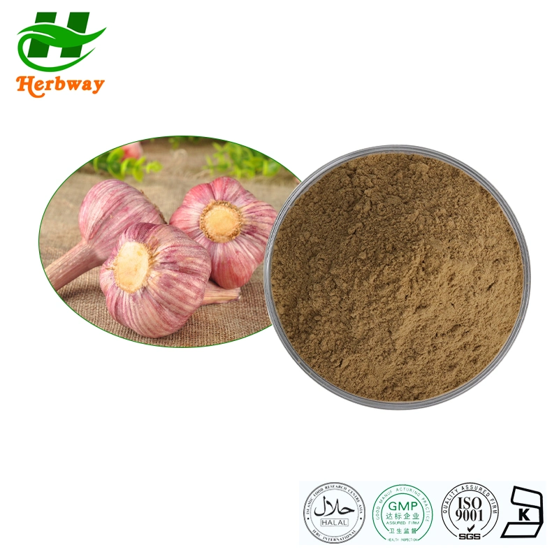 Herbway Food Additive Kosher Halal Fssc HACCP Certified Garlic Extract Powder Allicin Powder