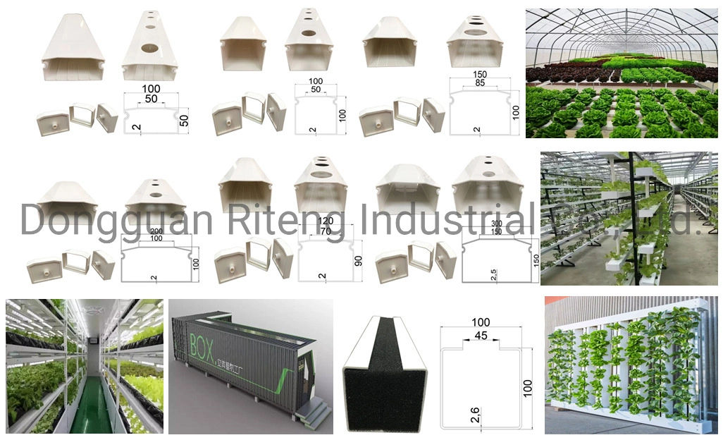 Sistema de NFT hidroponics para Granja vertical NFT Hydroponics para vertical Granja