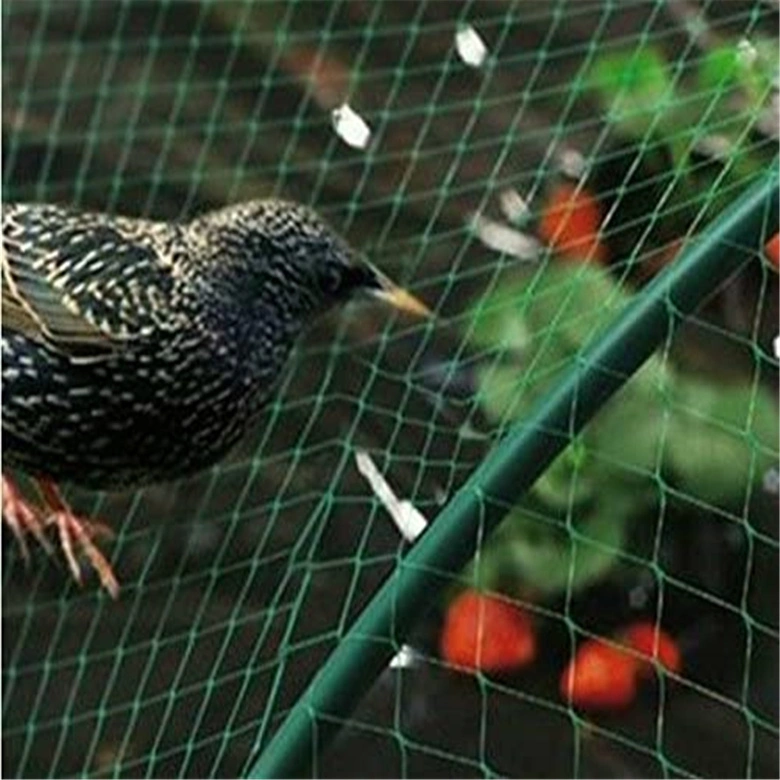 Buena calidad Anti Bird Net para proteger los viñedos