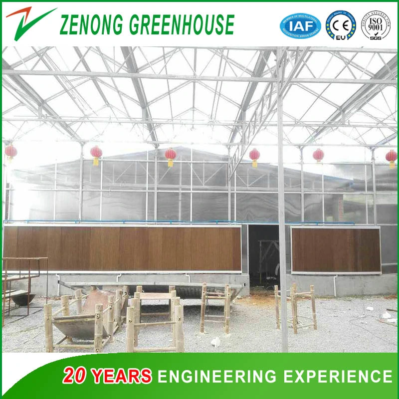 Sunlight Greenhouse with Intelligent Device for Modern Agriculture Seed Breeding Cultivation