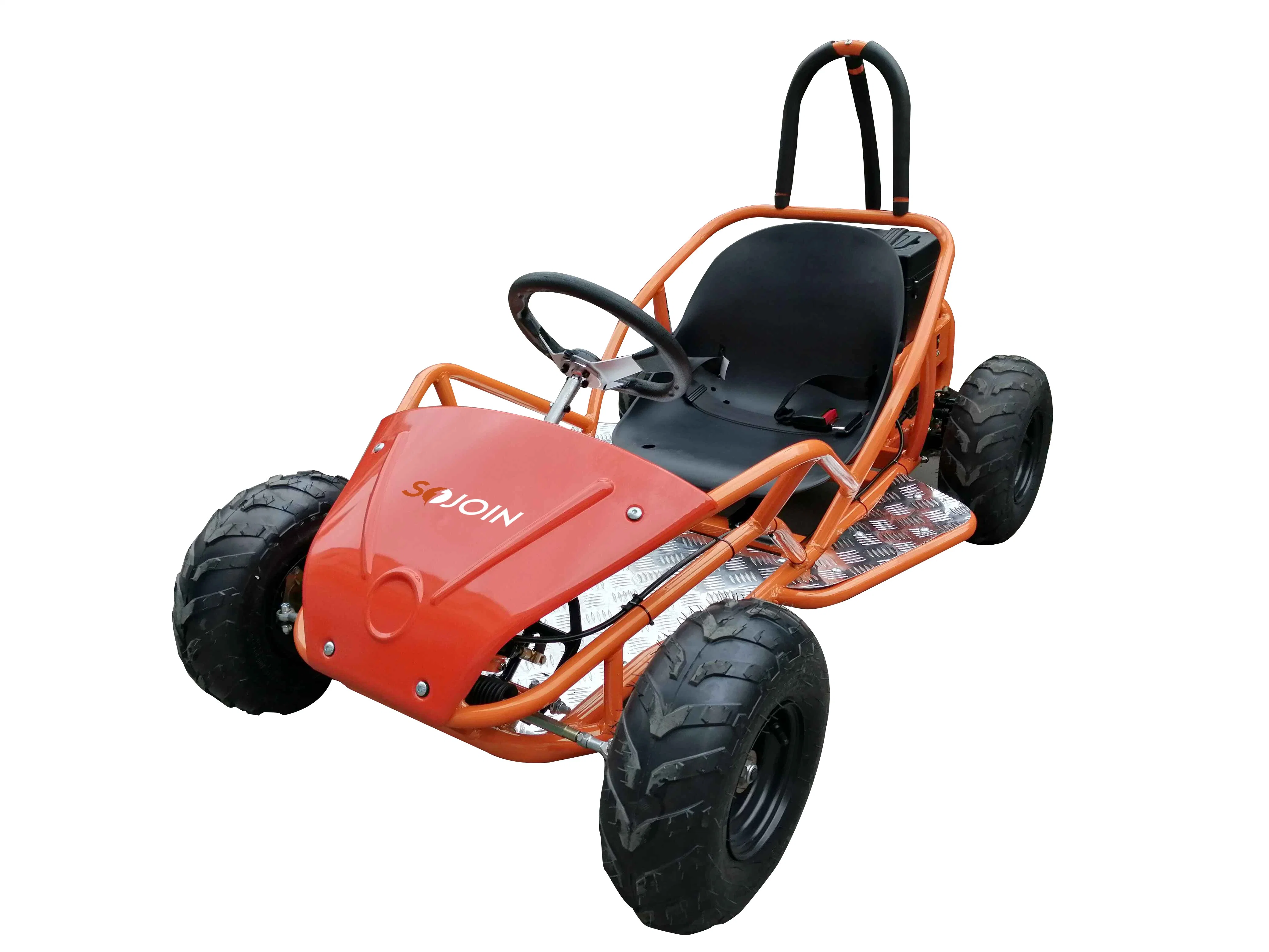 High Performance Adult off Road 1000W Electric Go Kart