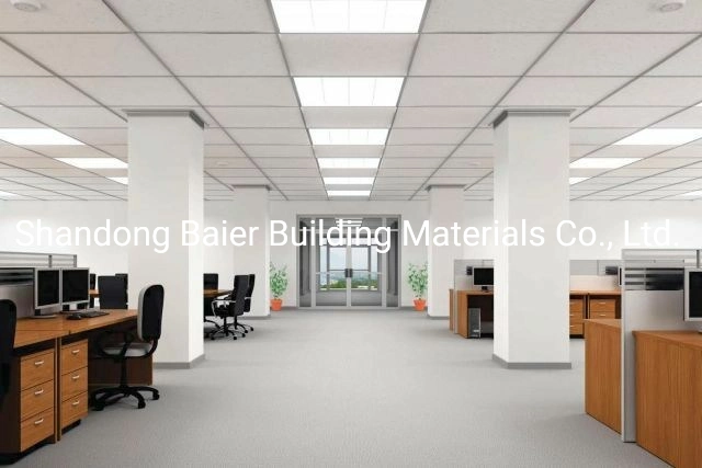 Hot PVC Gypsum Ceiling Tiles (Regular)