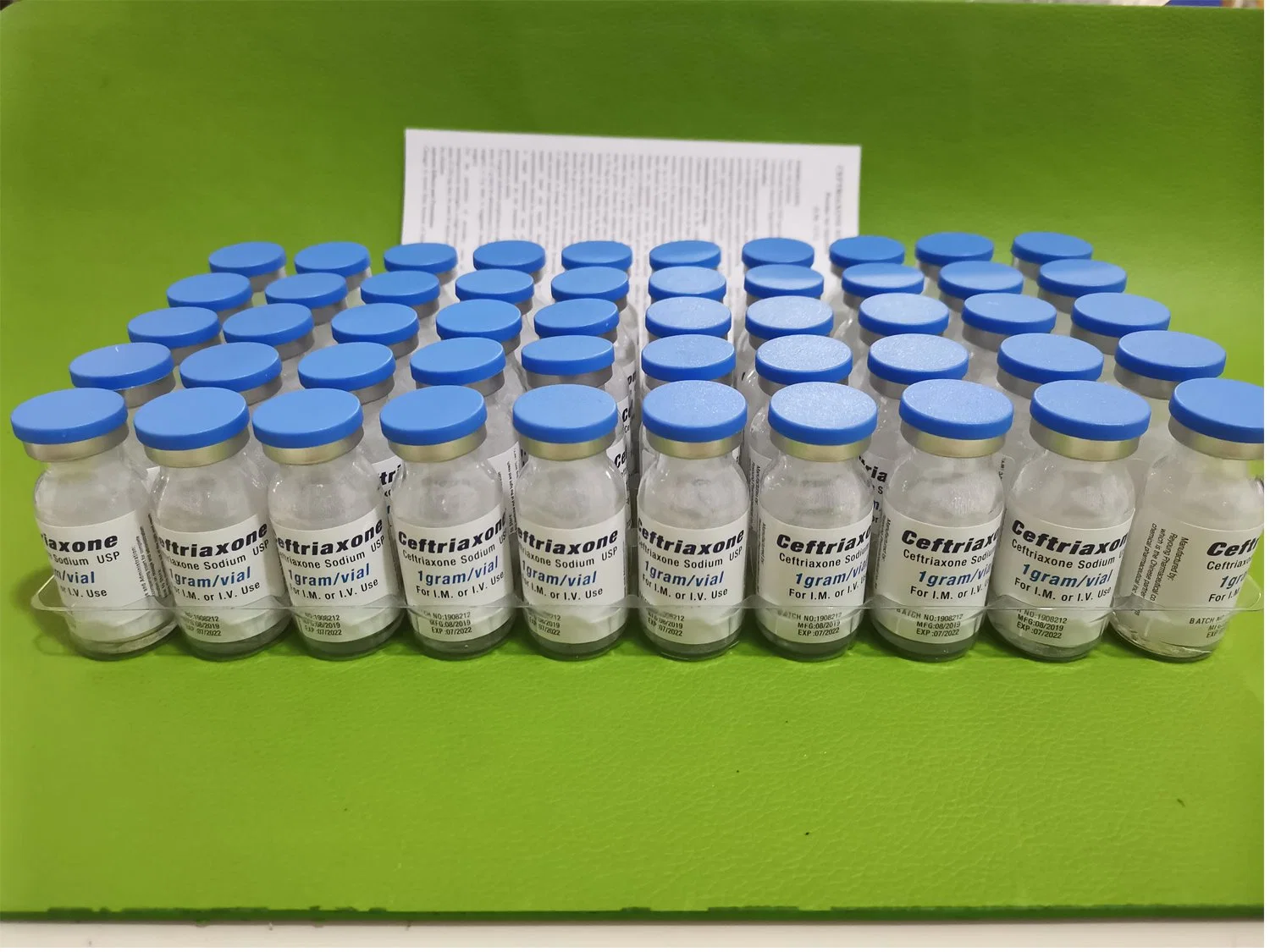 Ceftriaxone Powder for Injection West for Human