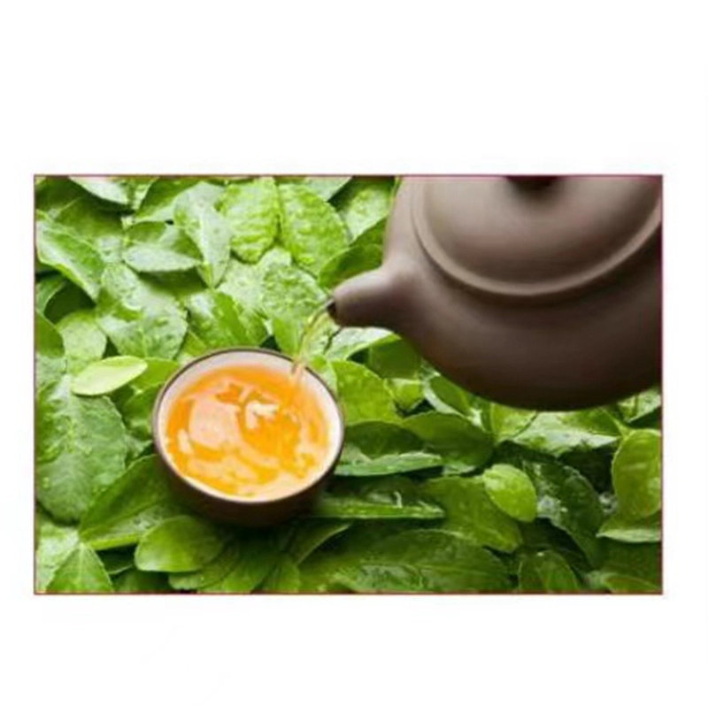 مستخلص الشاي الأخضر العضوي الطبيعي L-Theanine Food Grade 99%