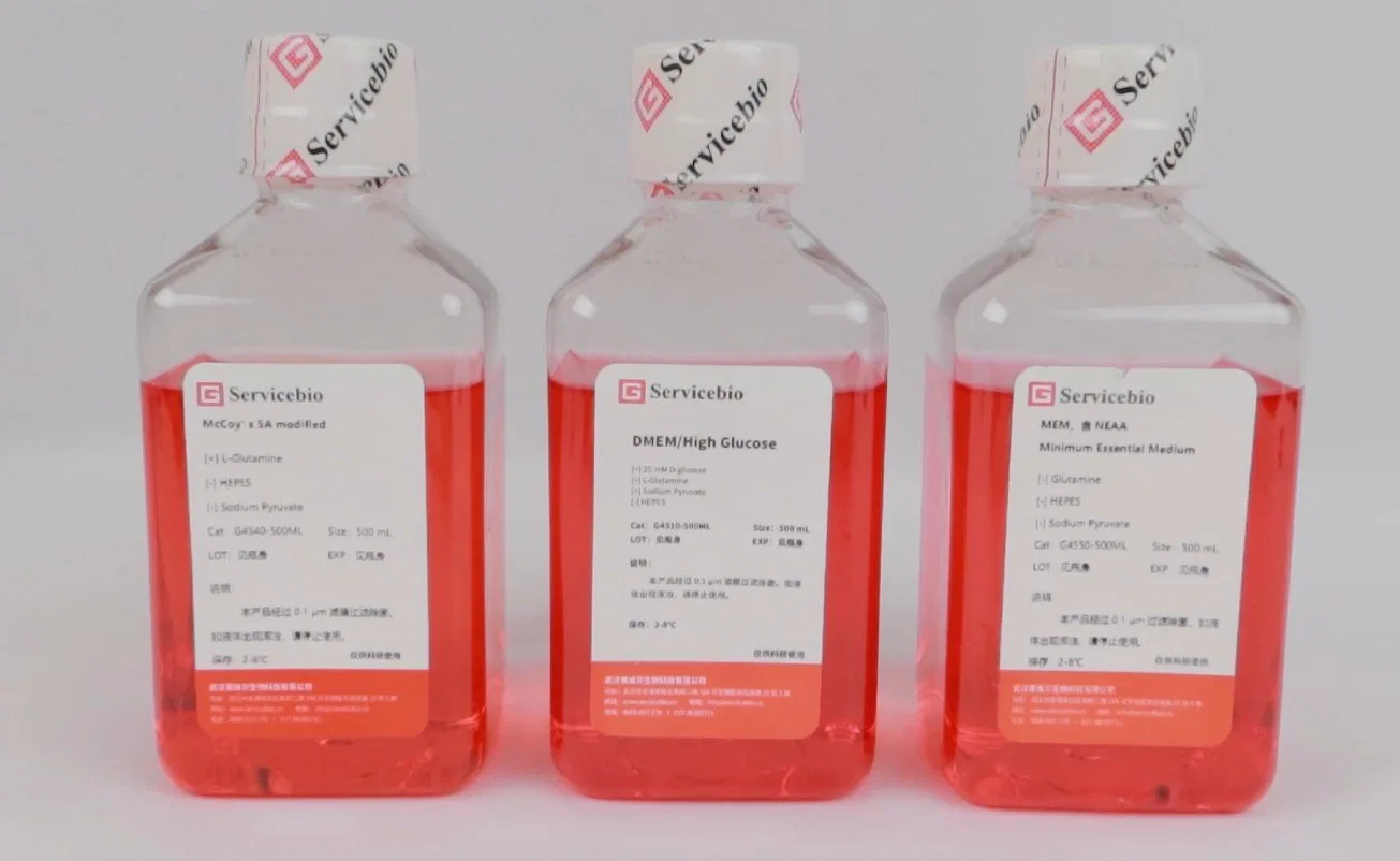 Dmem/High Glucose, Glutamax-I Supplement Cell Culture Media 500ml