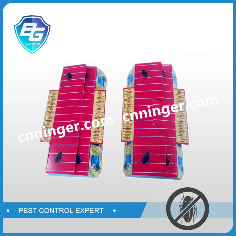 China Cockroach House Cockroach Glue Trap for USA Market