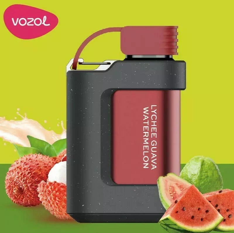 Europe USA UAE Well-Known Brand Vozol Disposable/Chargeable Vape Pod Gear 5000 7000 10000 Puffs Alien 2500 4000 Star Vixn Sopro 15K Wholesale/Supplier I Vape