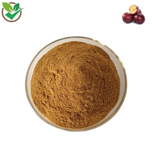 Dark Plum Extract Powder Dried Dark Plum Juice Powder Natural Sweet Dried Sour Plum Powder