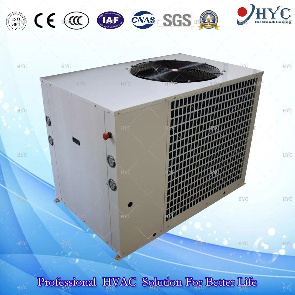 DC INVERTER aire refrigerado por agua Mini Chiller