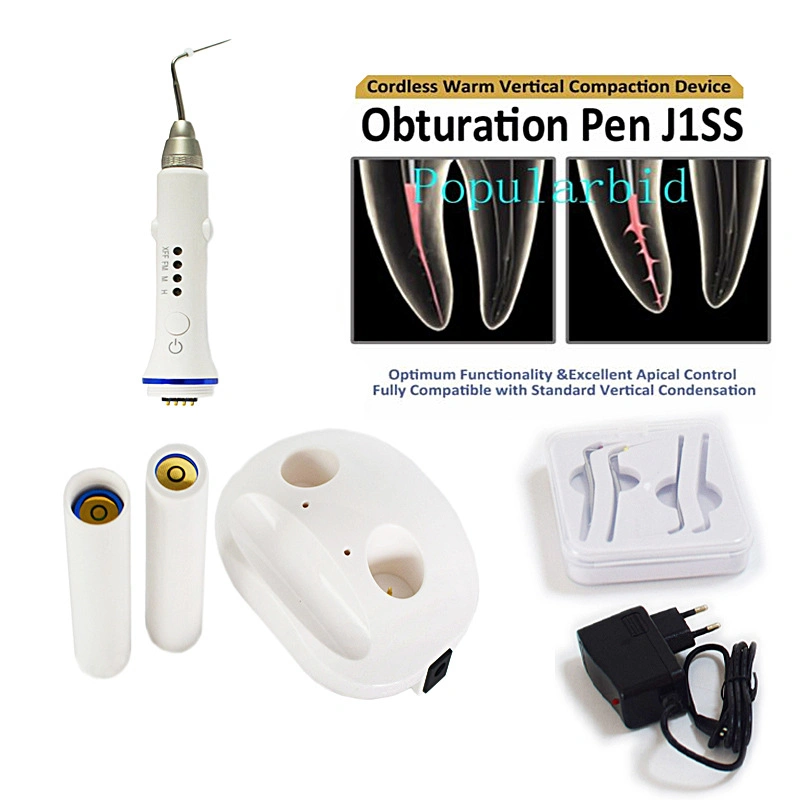 Stylo d'observation dentaire sans fil gutta percha sans fil