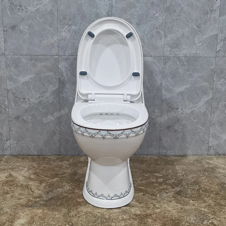 Print Bidet Toilet Washdown One Piece Toilet Bowl S Trap 250mm 4inchs Wc Bathroom Decoration Toilet