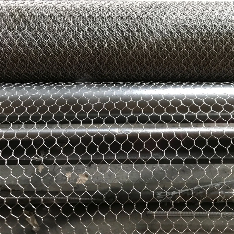 Various Sizes PVC Coated Hexagonal Wire Mesh