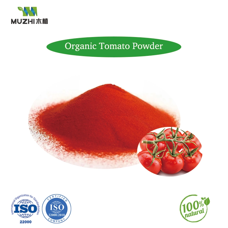 Natural No Additives Orange Red Color Vegetable Juice Extracts Carrot Powder for Baby Food