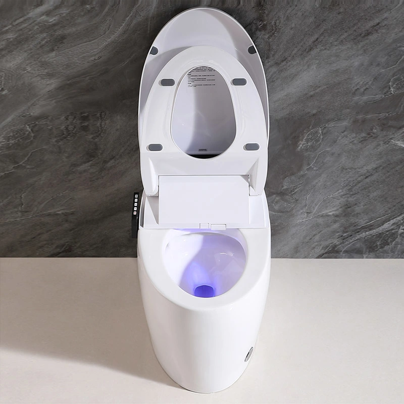 Bathroom One Piece Tankless Intelligent Toilet