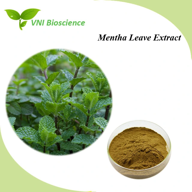 Kosher Halal Certified 100% Natural Lotus Leaf Extract