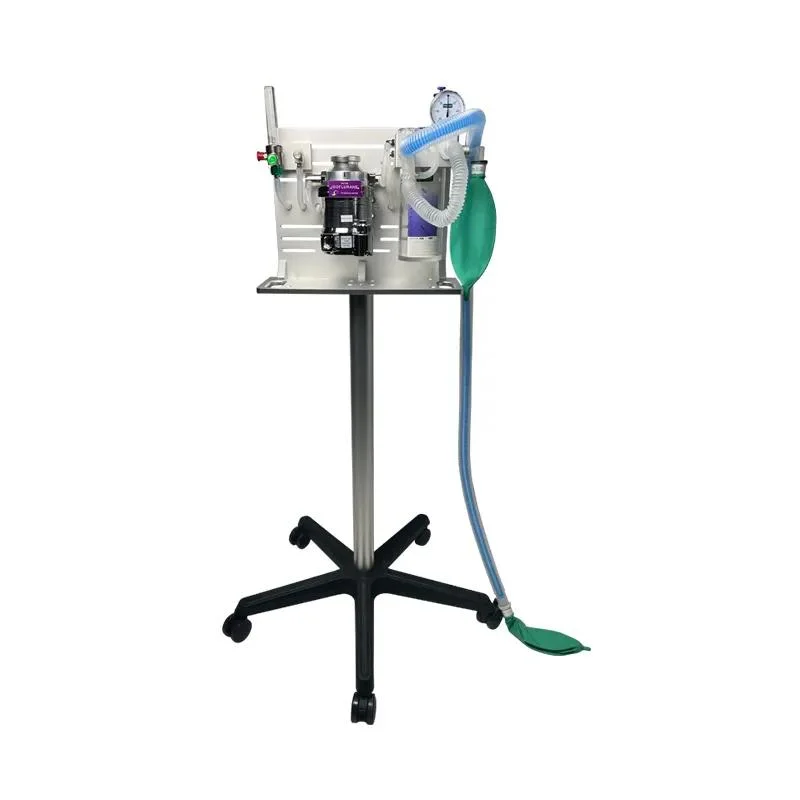 Veterinary Anesthesia Oxygen Machine Vet Dog Anesthesia Machine with Ventilator