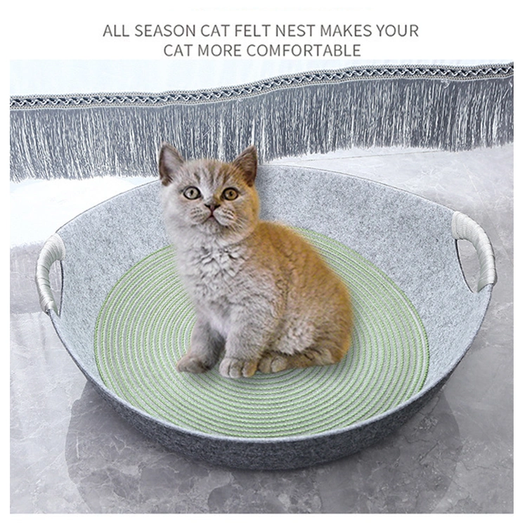 Wholesale/Supplier High quality/High cost performance  Colorful Cute Cat Nest