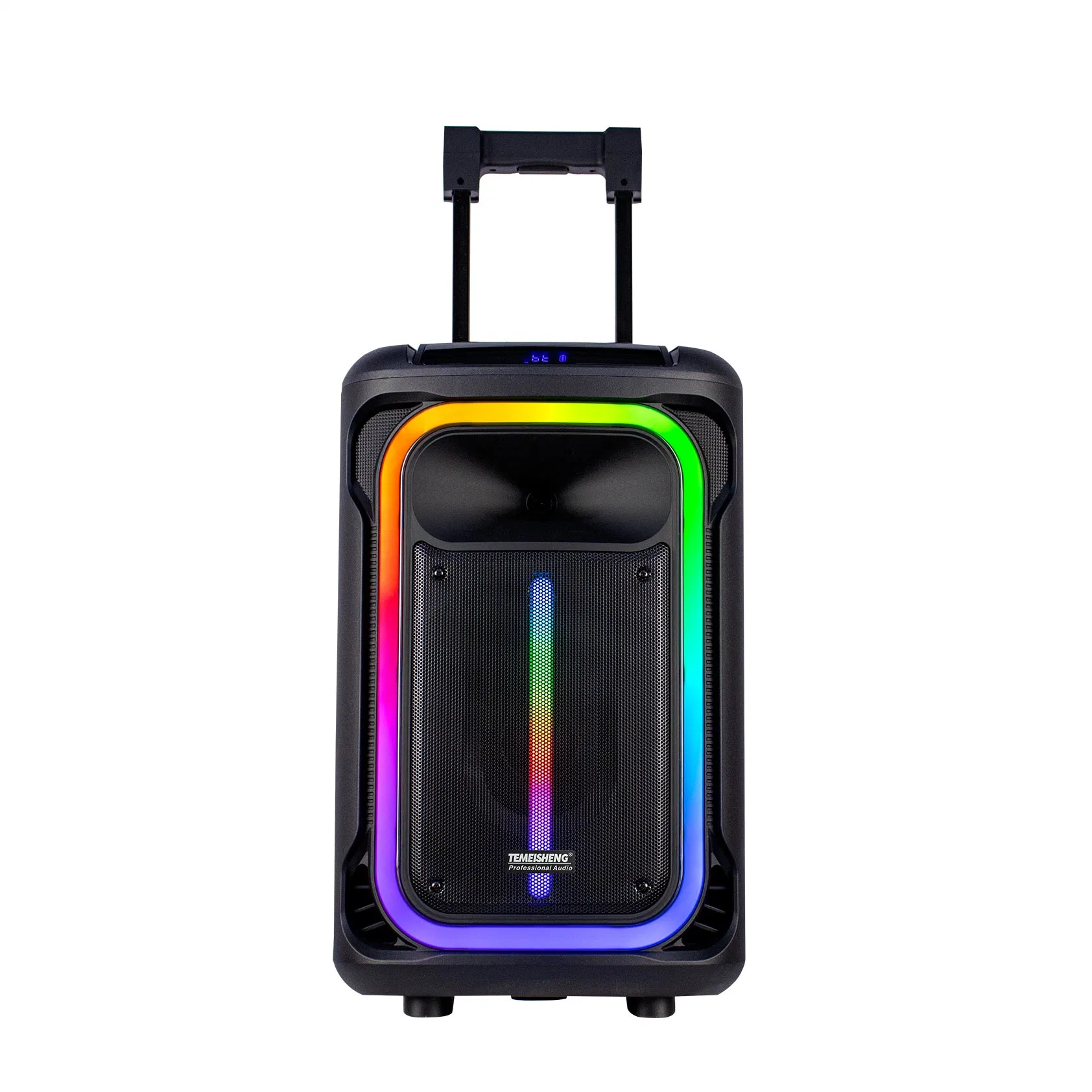 Temeisheng/Lagnting/OEM Hot Selling New Model 12inch Trolley Portable Speaker with New Style Light Active Speaker Bluetooth Speaker