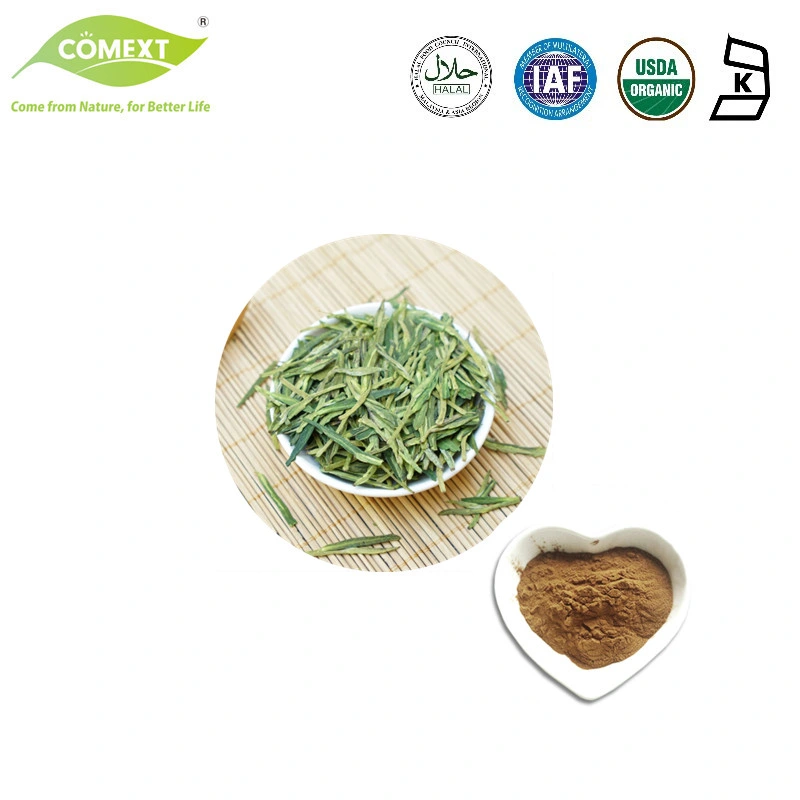 100% Natural Food Grade Green Tea Extract 98% Polyphenol 70% Catechin 45% EGCG