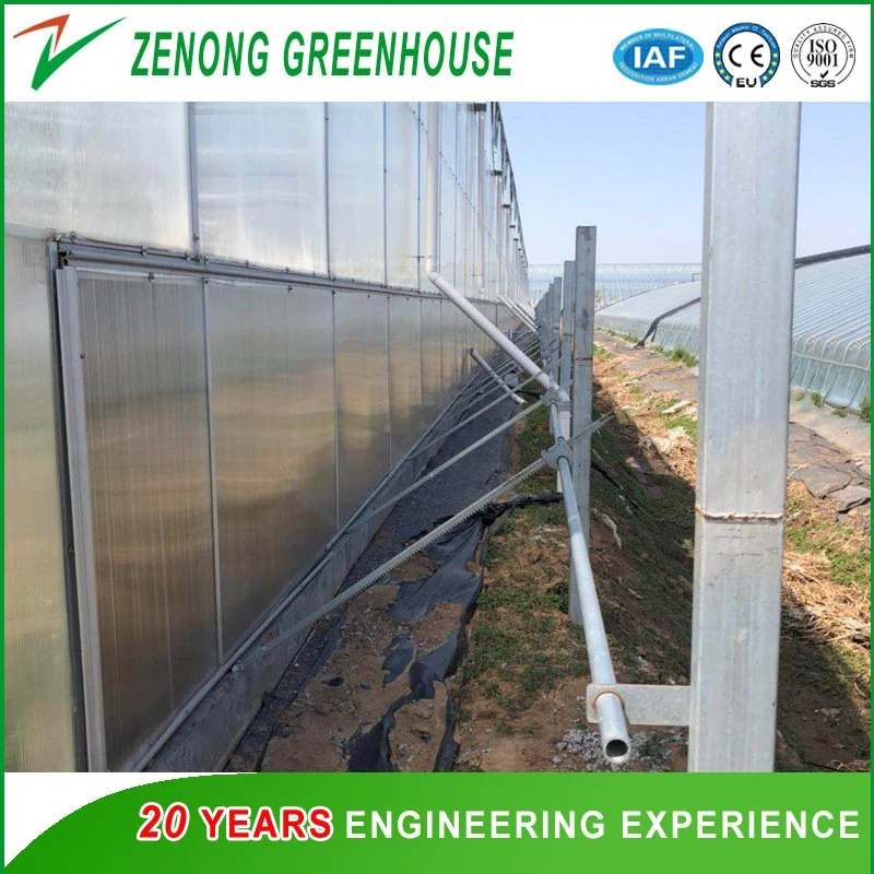 Modern Arch Roof Greenhouse with PC Board Surroundings and Plastic Film Roof