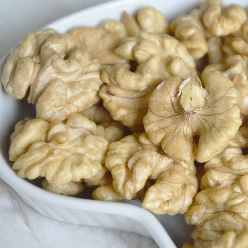 Walnut Xinjiang de China de papel de alta calidad a granel Shell