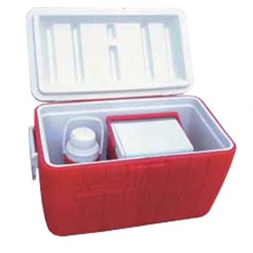 Hochwertige Wettbewerbsfähige Preis Kunststoff-Kühler-Box