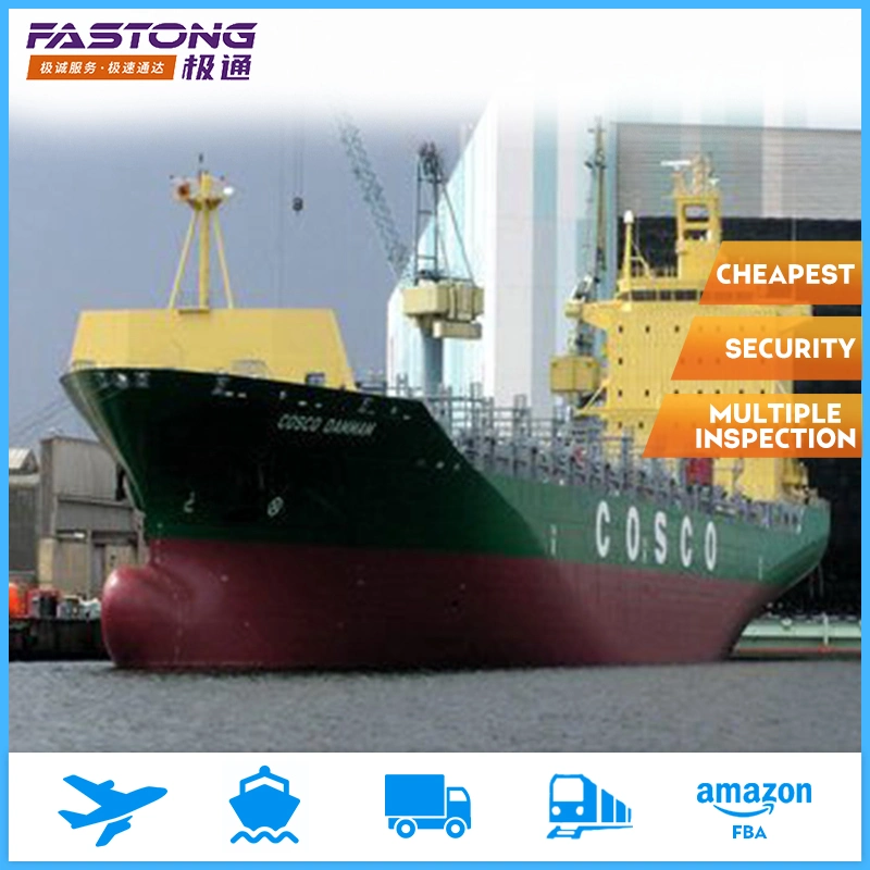 Shipping Service/ Logistics / Shipping Forwarder From China to Middle East Ports