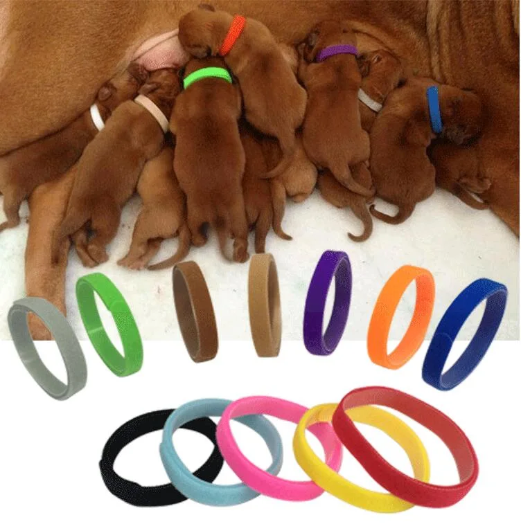 12 colores ajustable de Velcro de doble cara ID cachorro bandas collares