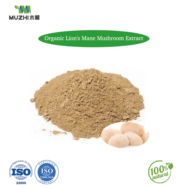 Organic Lion&prime; S Mane Mushroom Extract Natural Herbal Plant Extract