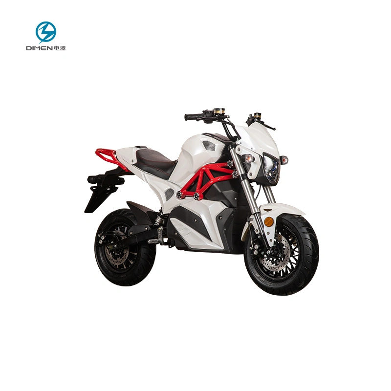 Powerful Two Wheel Electric Motorcycle with Removable Battery