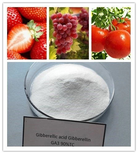 4-Chlorophenoxyacetic Acid Sodium Salt (4-CPA.NA)