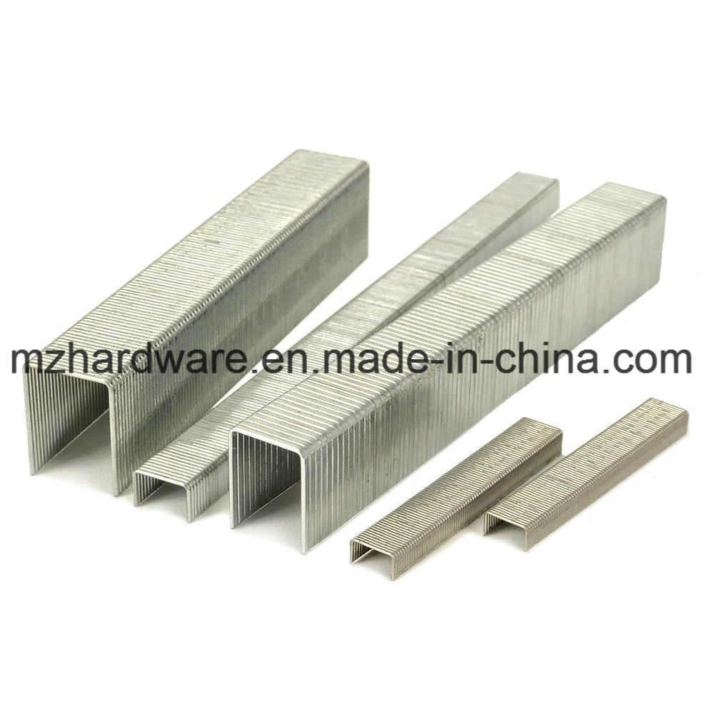 Galvanized Fine Wire Industries Staples for Furniture and Sofa