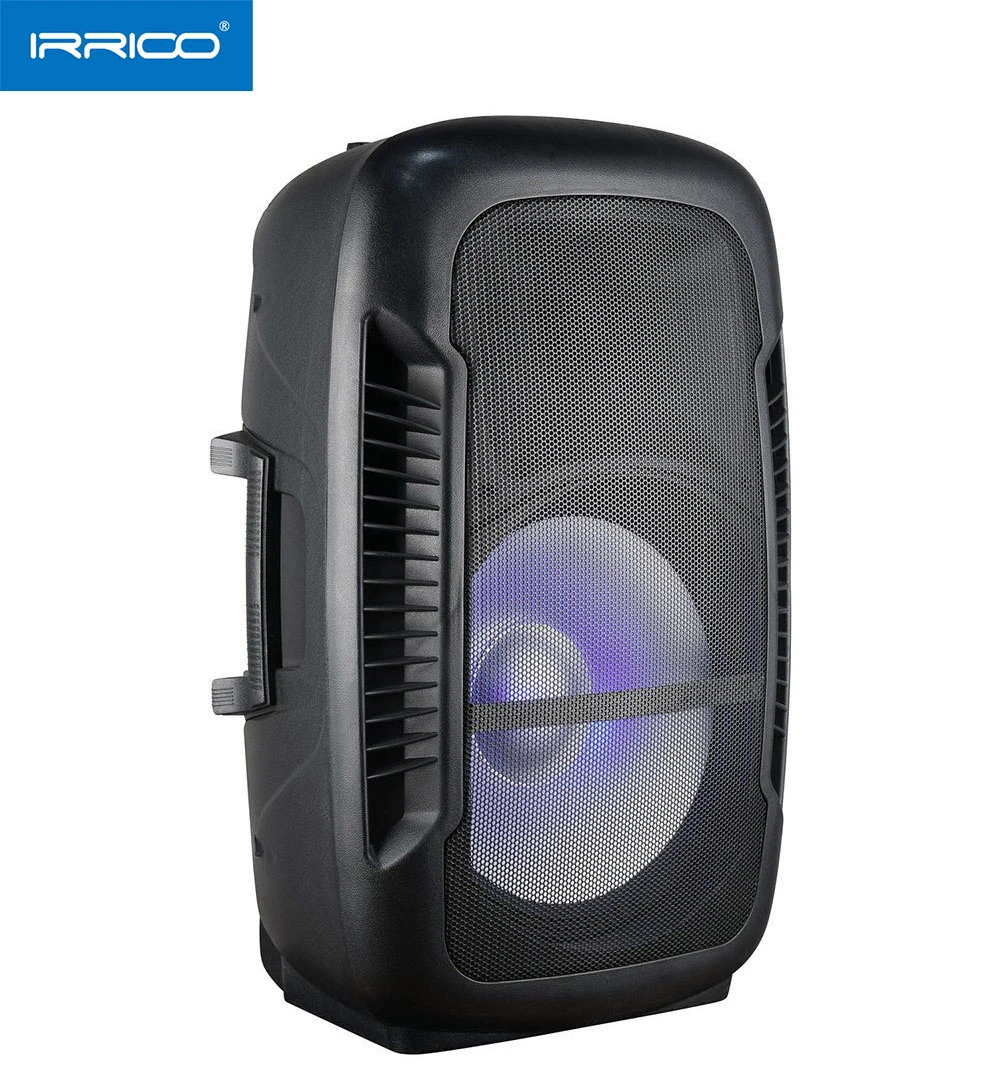 Haut-parleur Bluetooth portable 15pouces 300W