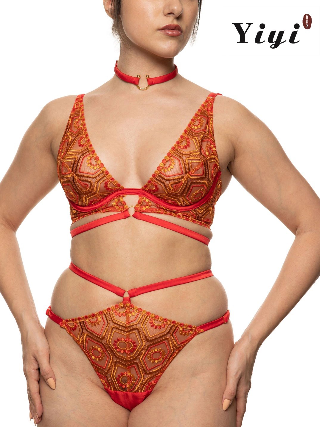 Nouveau design point de vue de la Dentelle exotiques femmes sexy l' ensemble de lingerie