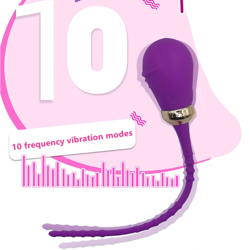 Remote Control Wearable Vibrator G Spot Clitoris Stimulator Panties Vibrator for Women