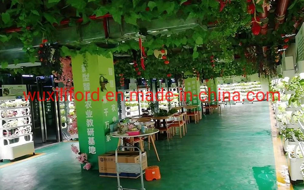 Original Factory Price Indoor Garden Hydroponics System with LED